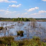 Die Sterntaler Filze bei Bad Feilnbach ermöglichen das "Erlebnis Moor" - die Begegnung mit einem äußerst sensiblen Ökosystem