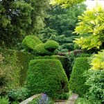 Berühmte Topiary - die Hidcote Vögelchen