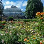 Ein erstes Appetitmach-Foto aus dem Botanischen Garten Christchurch muss sein