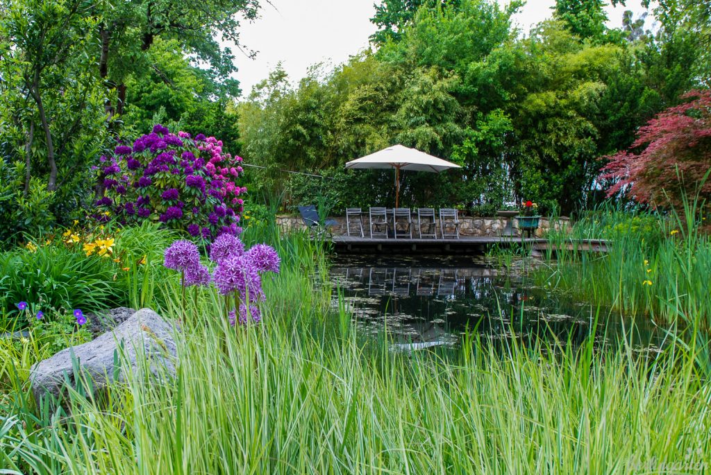 Der Teichgarten gibt sich üppig und naturnah. Dieser Gartenbereich trägt das Prädikat "pflegeleicht"