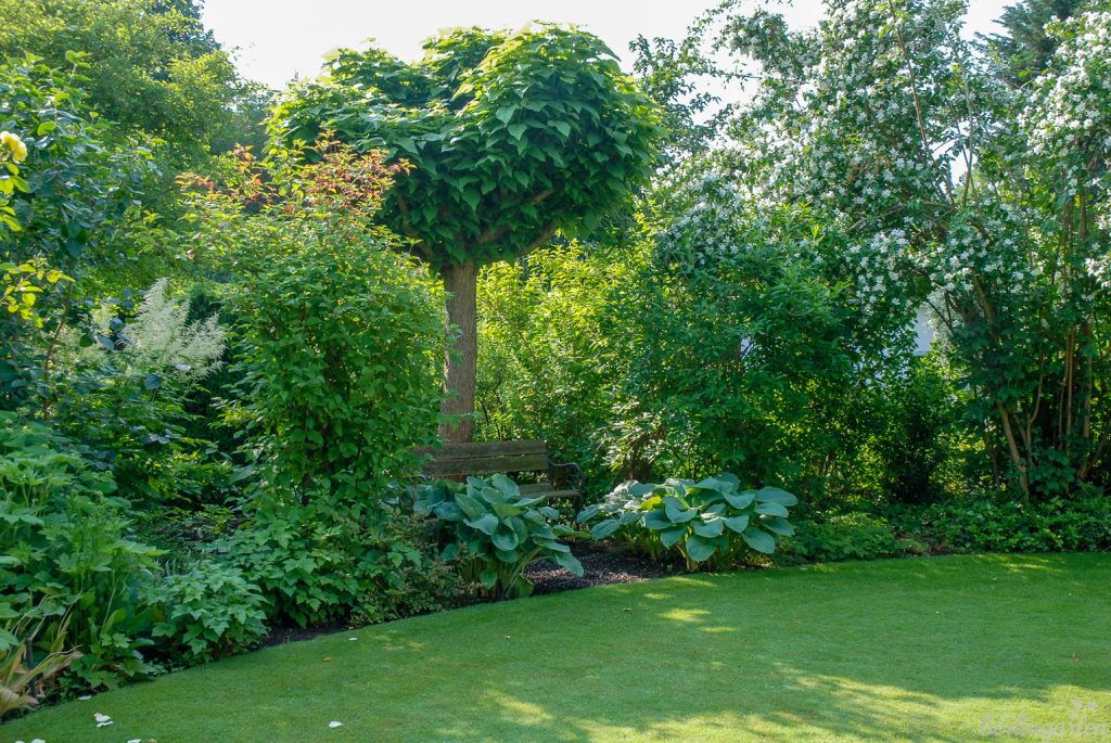 Der Garten direkt hinter dem Haus verströmt durch die große Rasenfläche und die Bepflanzung in verschiedenen Grüntönen eine ruhige Atmosphäre