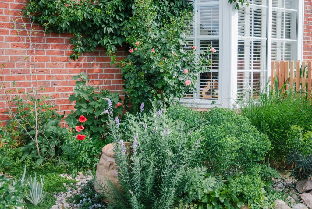 Garten Doppelhaushälfte: Der sonnenexponierte Vorgarten ist als Kiesgarten gestaltet
