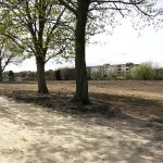 Wo ehemals 150 Gärten der Kleingartenanlage Oeynhausen waren...