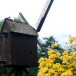 Eine alte, in den Vogelpark transferierte Windmühle