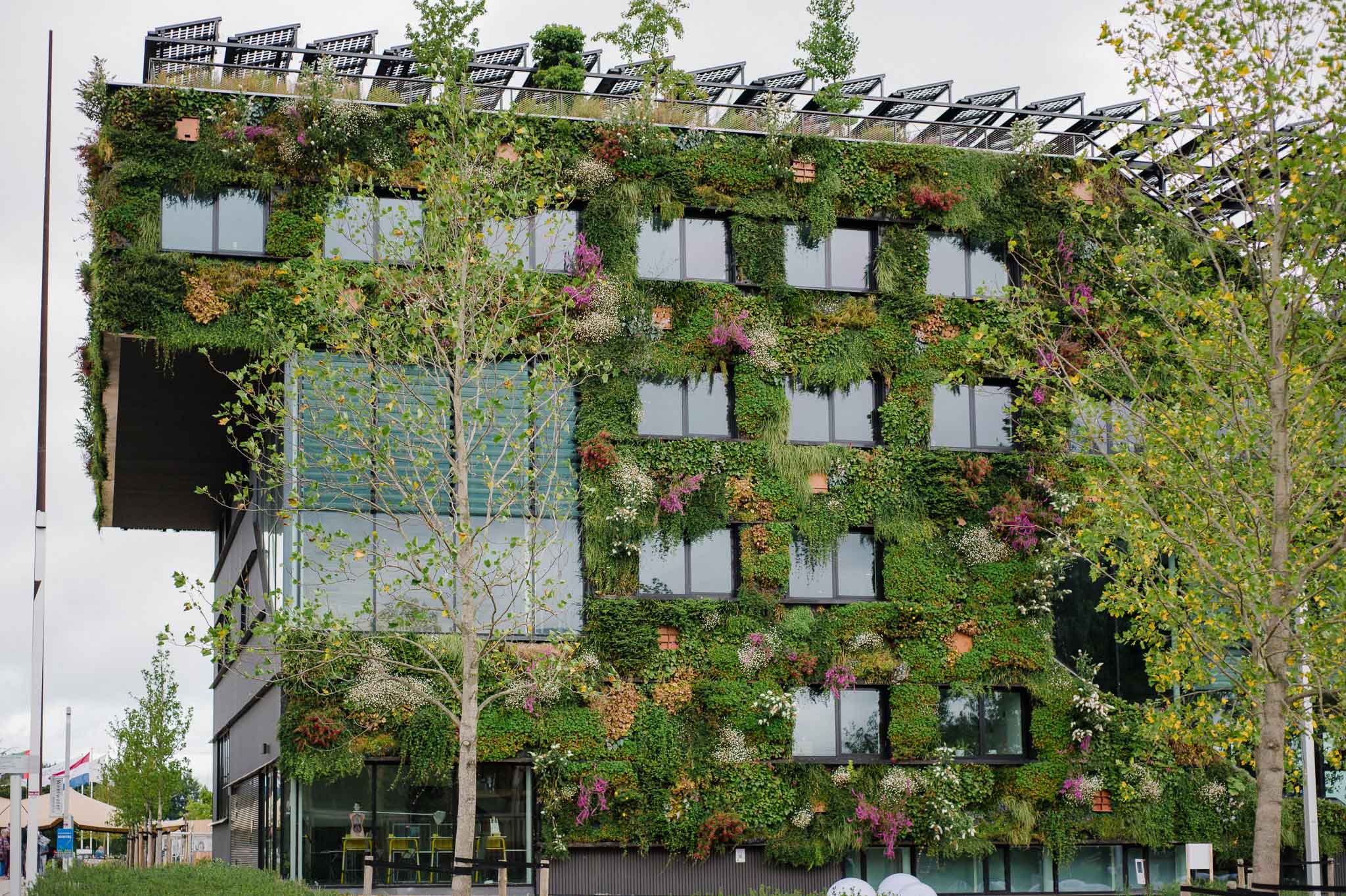 Typish für die Floriade Holland ist die blühende Fassade der Aeres Hochschule für angewandte Wissenschaften