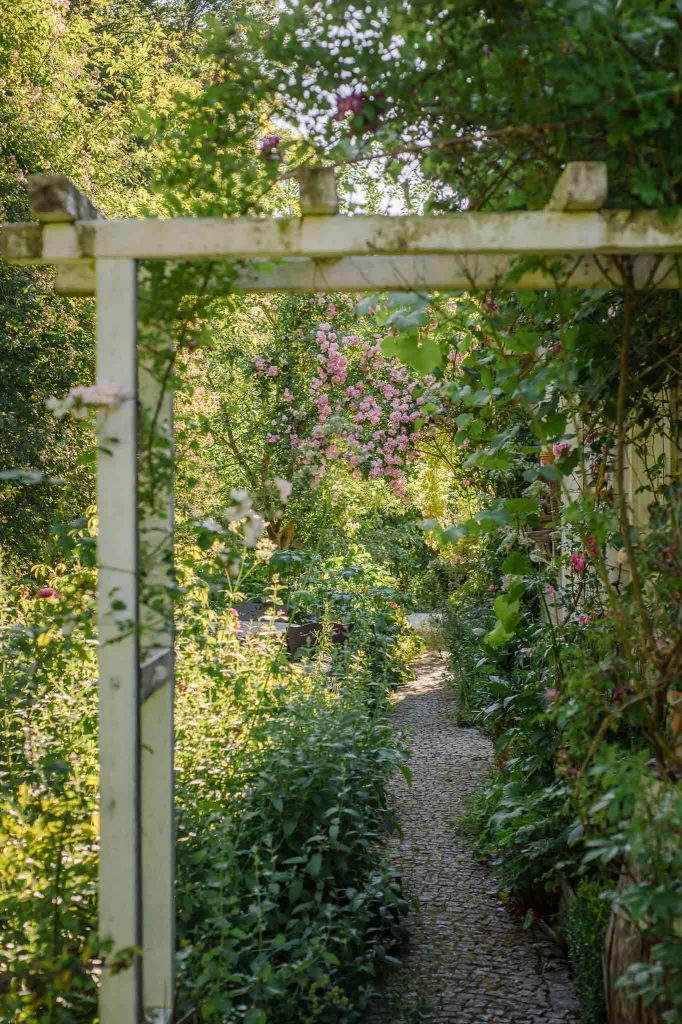 Rosenbögen leiten durch den Cottagegarten