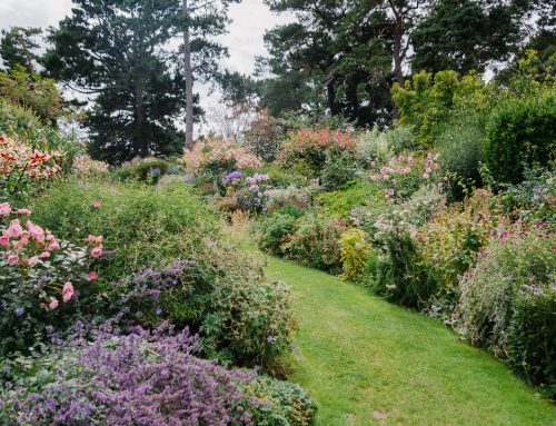 Geniale Gartenideen, schöne Beete: Inspiration aus England