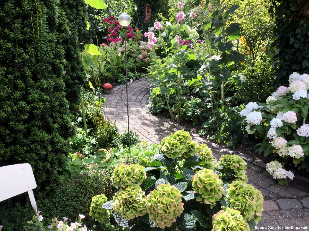 Tetsjes Garten ein Hortensien-Liebe: durch Rundgang