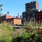 Highline Park is perfect urban gardening