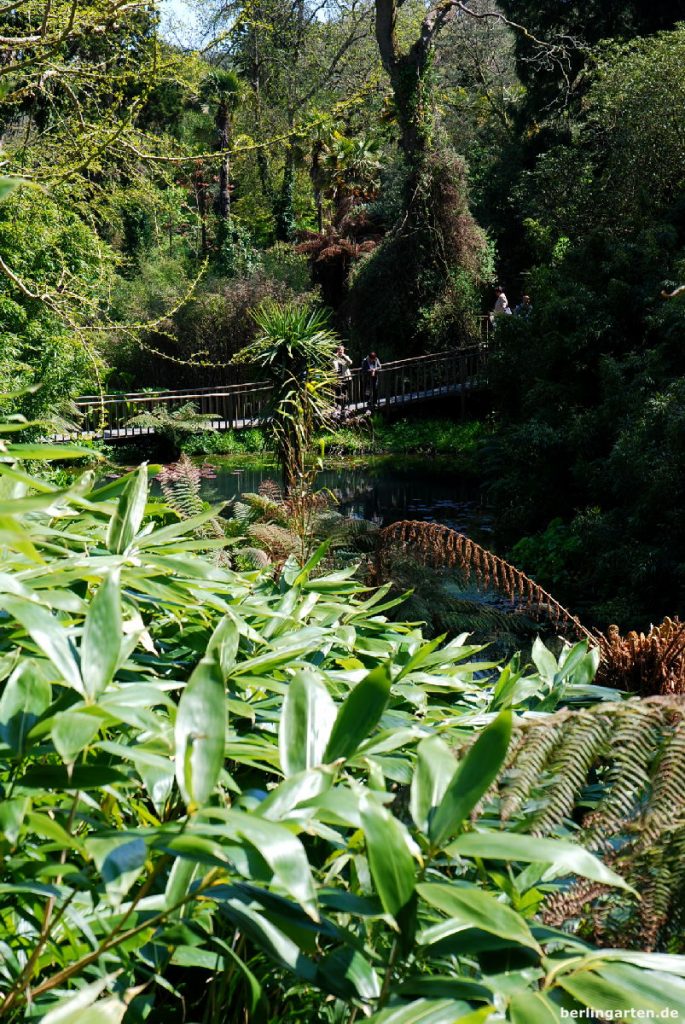 Hängebrücke Dschungel Heligan