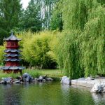Dafür waren die ursprünglichn Gärten der Welt berühmt: die asiatischen Gärten