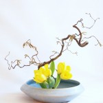 Ikebana in strahlendem Gelb