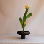 Ikebana mit gelber Tulpe