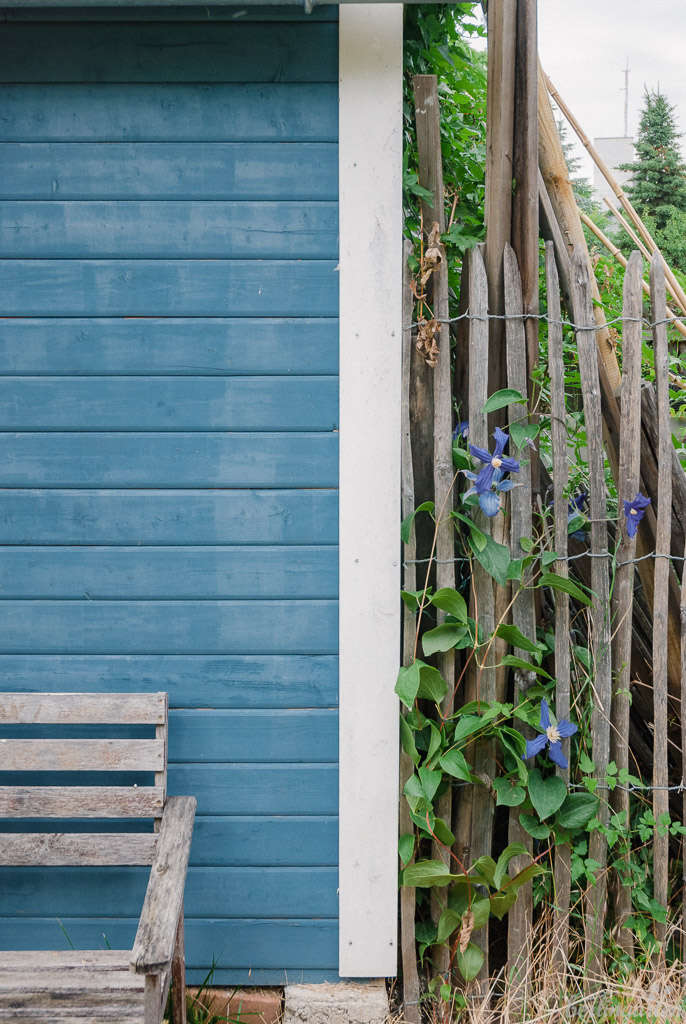 Hübsch: blaues Gartenhaus mit Clematis