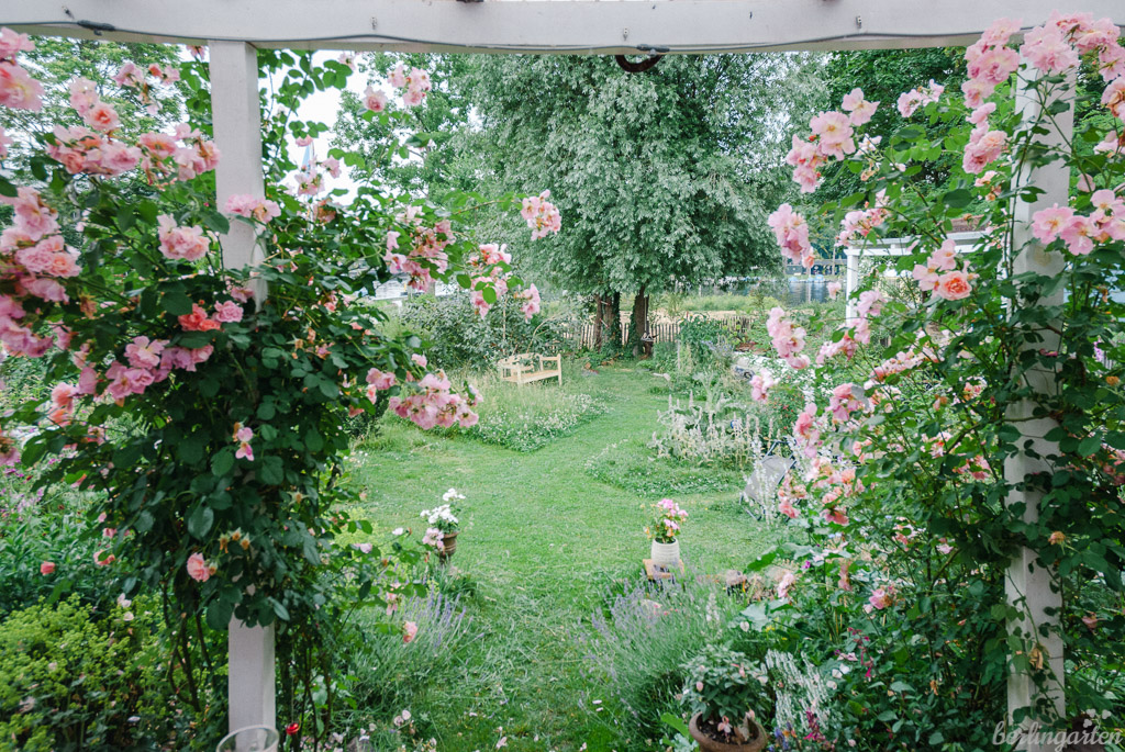 Blick in Isabels Garten mit Rosen an der Veranda