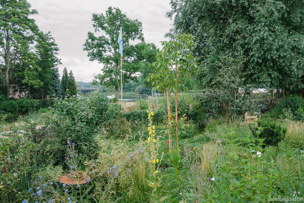 Wilder Garten mit Blick auf Havel