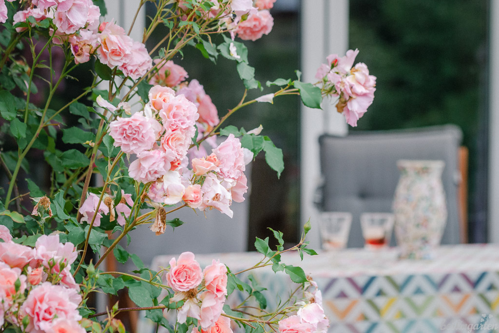 Romantisch: die Terrasse mit Rosenpergola