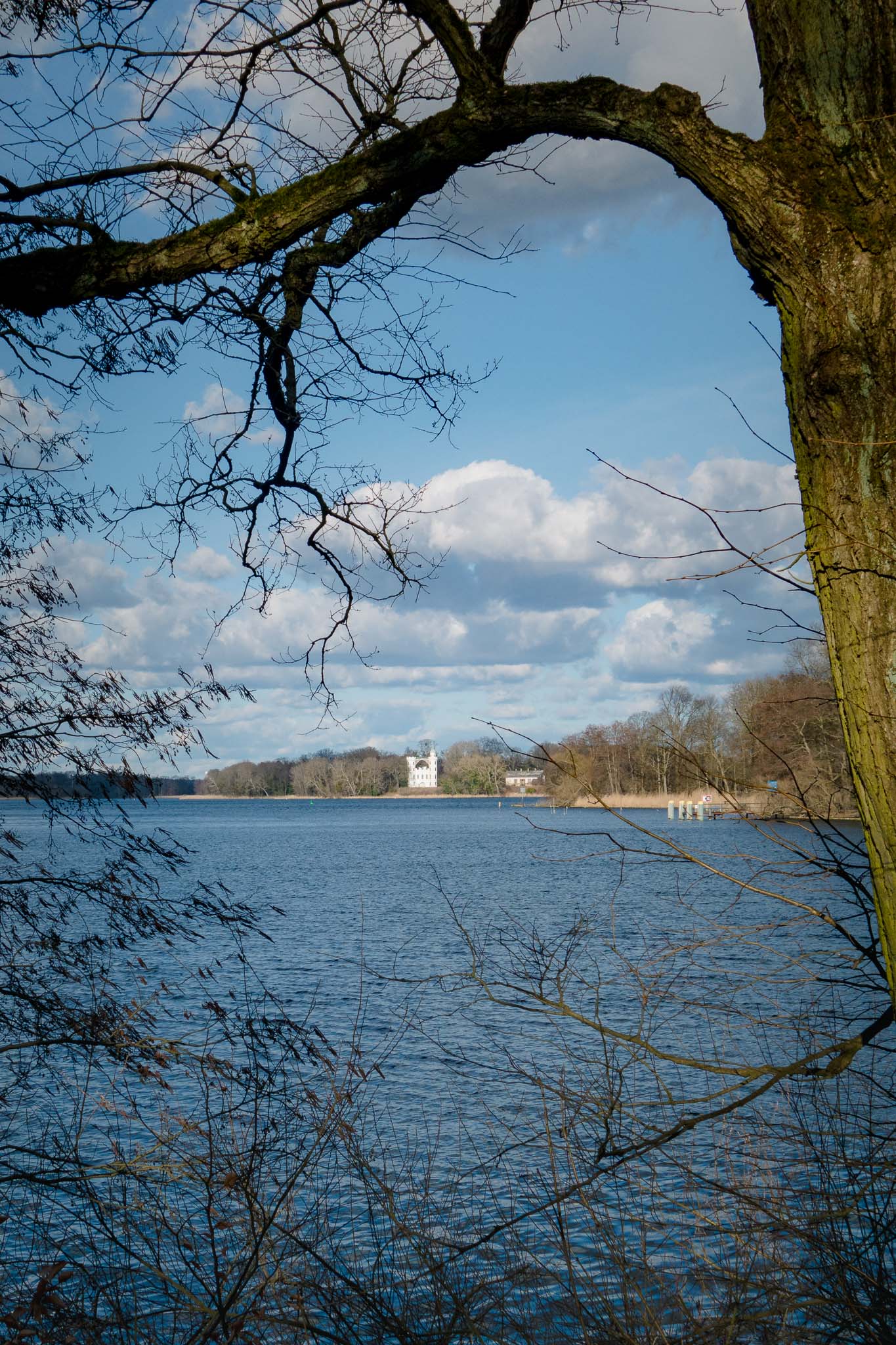 Blick über die Havel zur Pfaueninsel mit dem Schloss