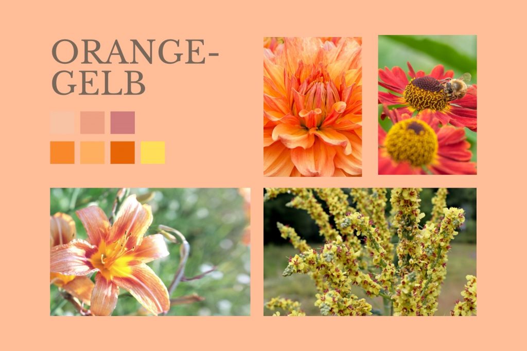 Pflanzen in Pfirsich, Orange und Gelb