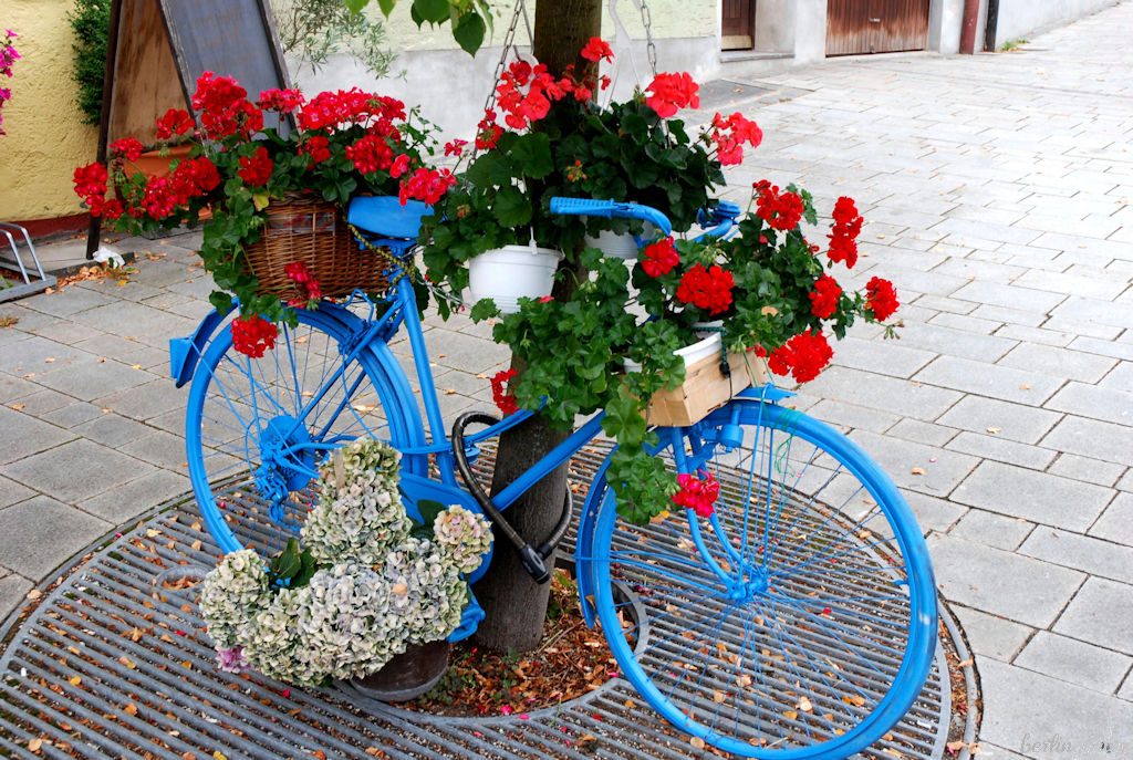 Pelargonie Deko blaues Fahrrad