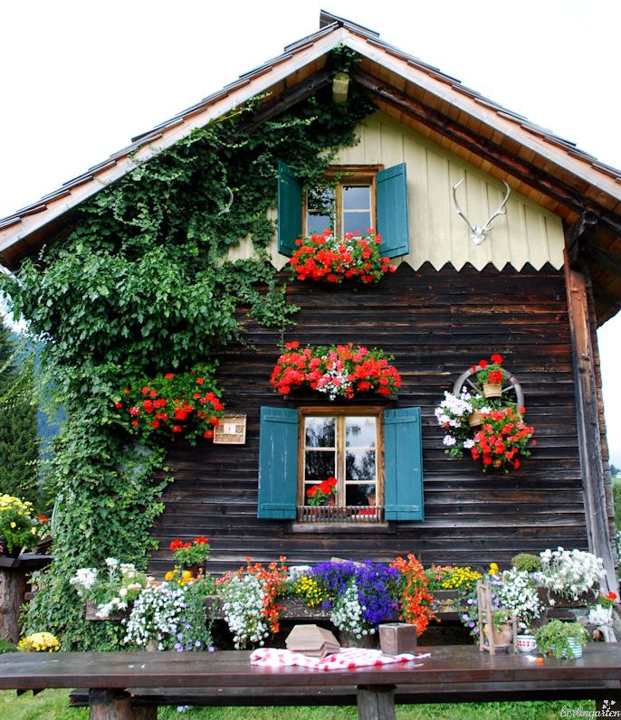 Mit fröhlichen "Geranien" - geschmücktes Haus auf der Steineckenalm in Kärnten