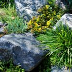 Garant für einen Steingarten de luxe: GROSSE Steine der Region verwenden