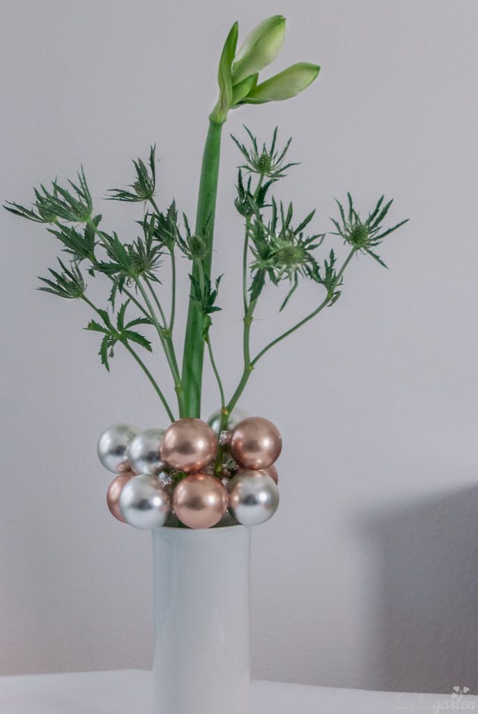 Amaryllis/Ritterstern in der Vase dekorieren
