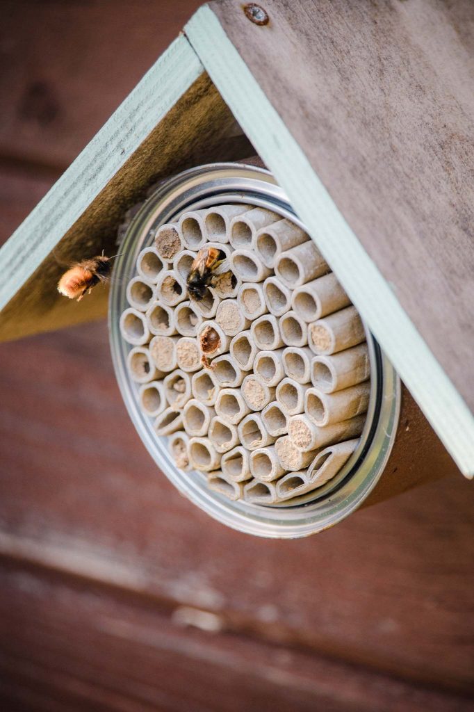 Wildbienenhaus/Insektenhotel mit Konservendose und Pappröhrchen
