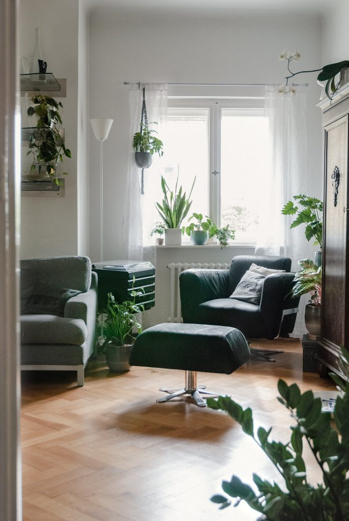 Leben mit Zimmerpflanzen verteilt im Raum