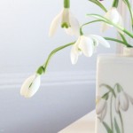 Schneeglöckchen KPM-Vase
