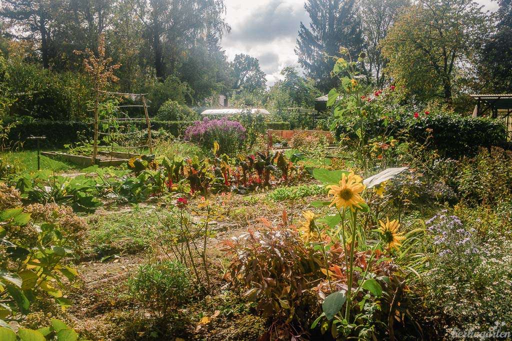 Herbstgarten Kleingärten Meedehorn
